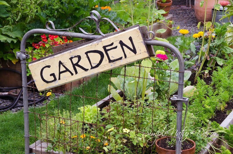 Simple Nature Garden Art