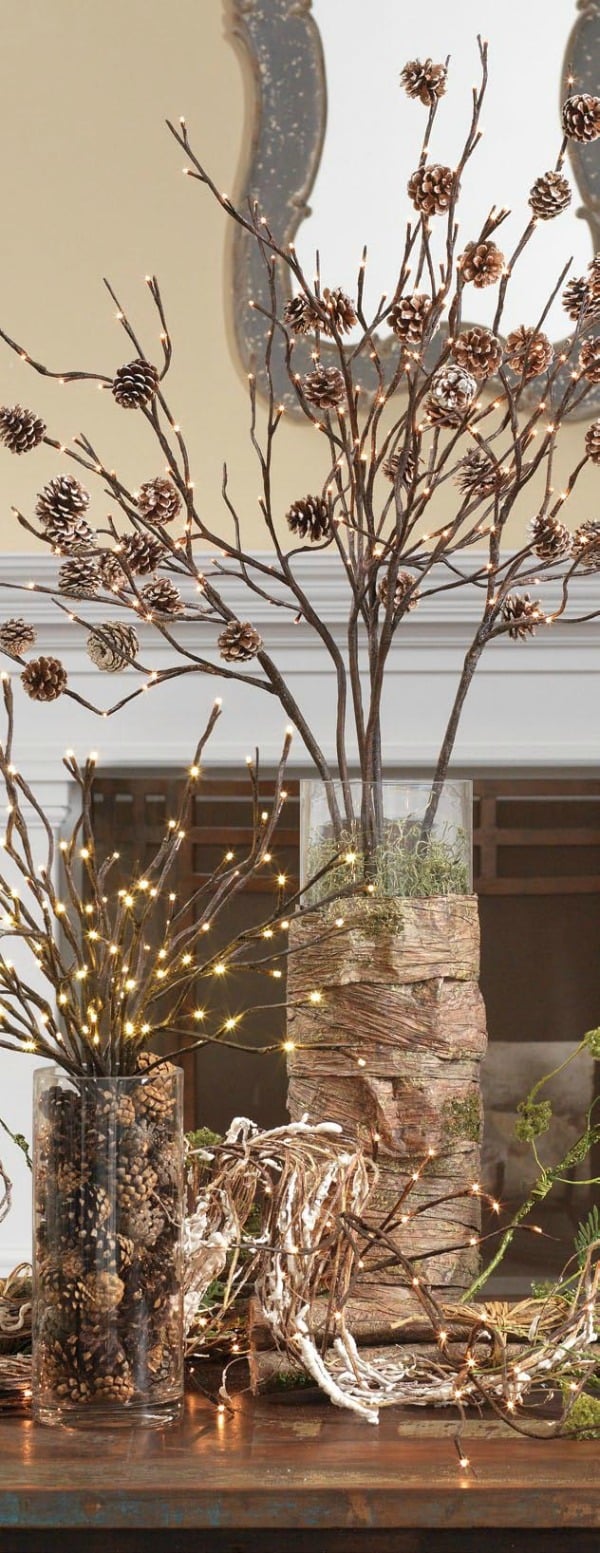 nature inspired accents for your home