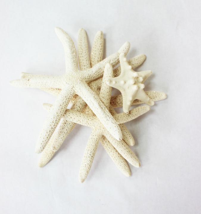 Starfish Christmas Tree Is the Perfect Holiday Beach Decor