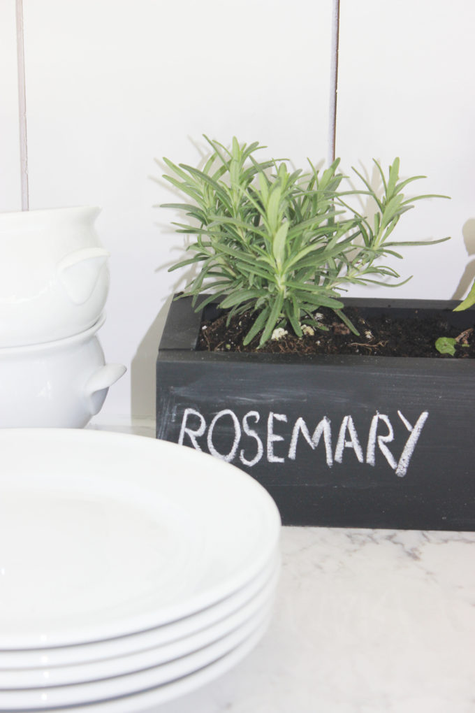HERB GARDEN: Rosemary Spearmint Oregano & Basil