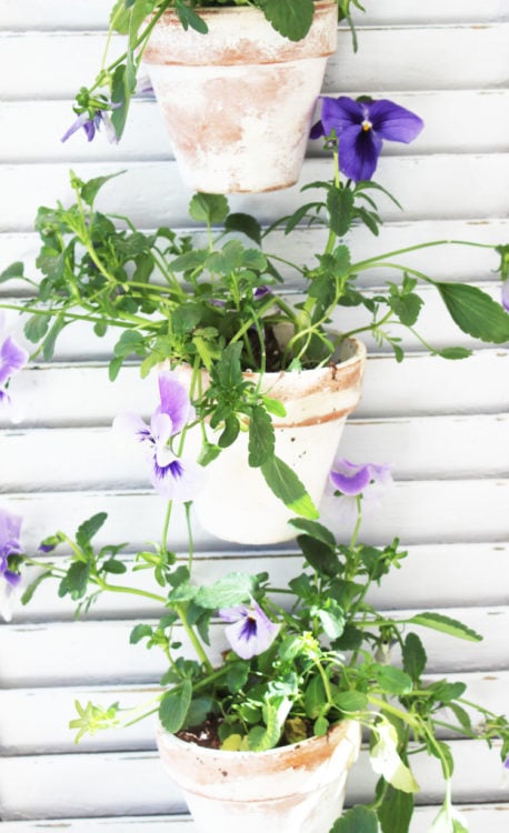 Crafting a Vertical Garden with an Old Shutter