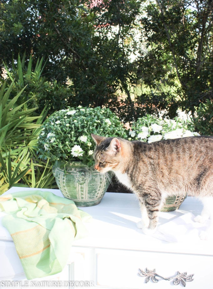 The Prettiest DIY Garden Station Storage Solutions