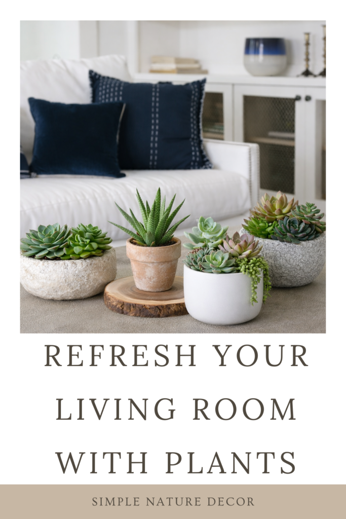 Refresh Your Living Room With Plants