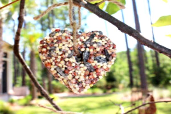 Rustic Heart  Bird Seed Favors