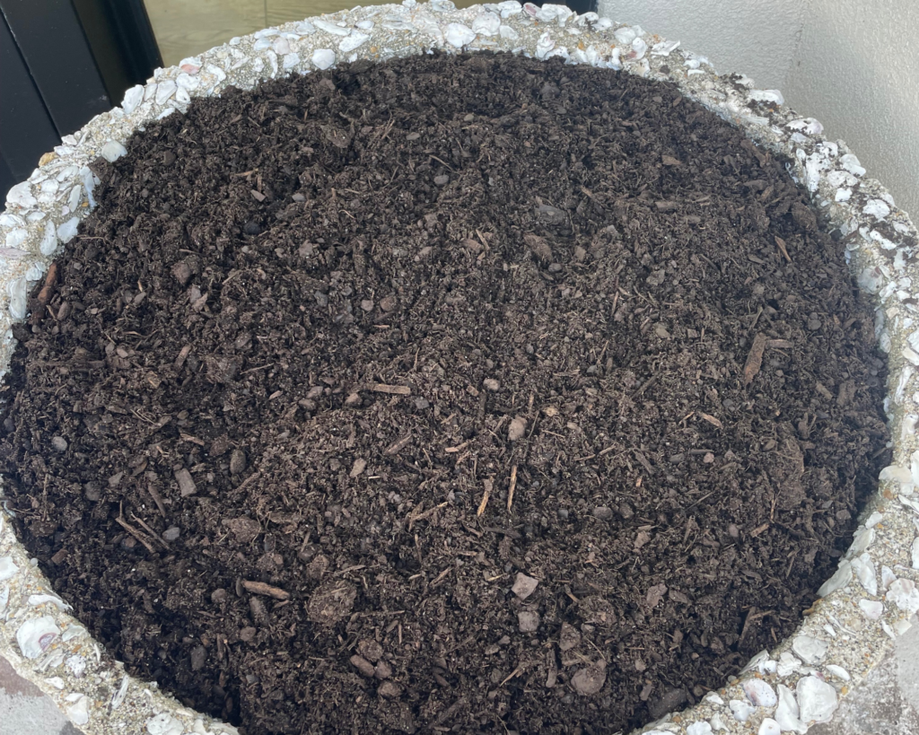 diy faux mini trees being planted